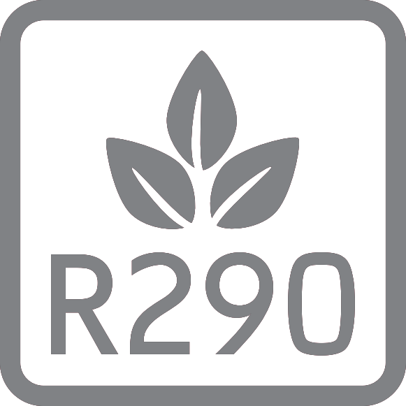 R290